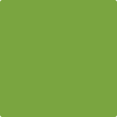 2028-10: Iguana Green a paint color by Benjamin Moore avaiable at Clement's Paint in Austin, TX.