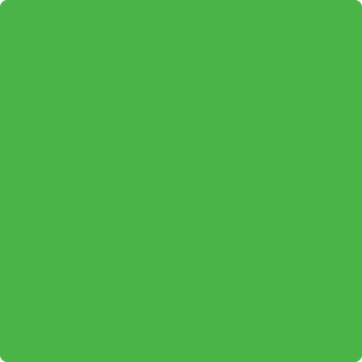 2032-30: Fresh Lime a paint color by Benjamin Moore avaiable at Clement's Paint in Austin, TX.