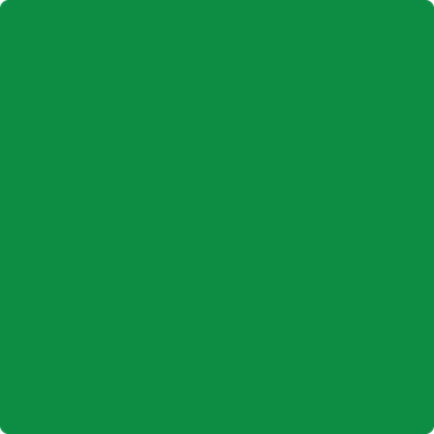 2033-10: Yellow Green a paint color by Benjamin Moore avaiable at Clement's Paint in Austin, TX.