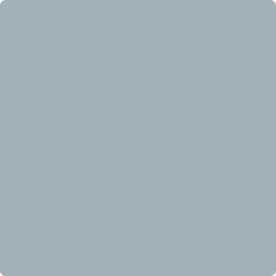 2131-50: Nimbus Gray a paint color by Benjamin Moore avaiable at Clement's Paint in Austin, TX.