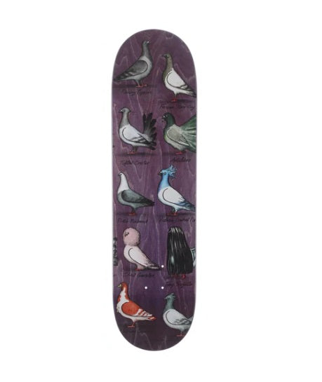 ANTIHERO DECK TRUJILLO SHOW PIGEONS 8.55"