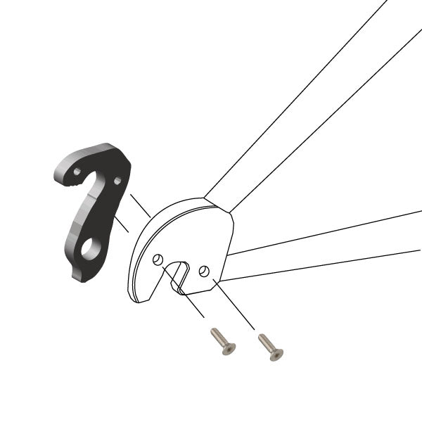 Hanger #244 attaches to the frame's rear dropout from the inside using two M4x8 screws.
