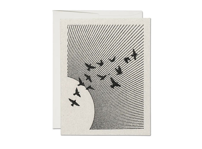 Everyday flock greeting card with striped sky and black bird silhouette flock