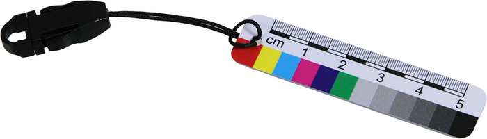 Low Gloss Double-Sided Scale Yes Double-Sided PVC Grid Photography Scale (5cm) CT20051305