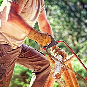Lumberjack (KY) Fragrance Oil 15771