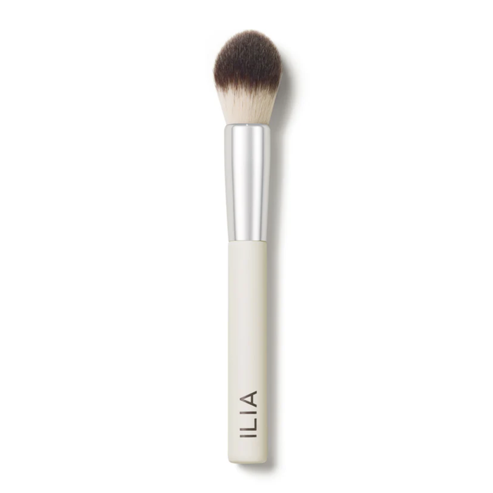 Precision Powder Brush