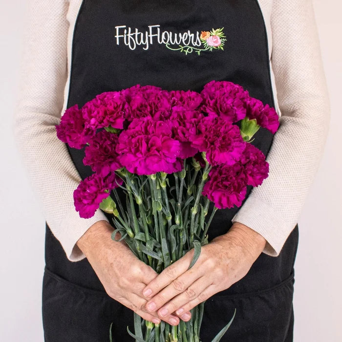 Purpleberry Carnation Flower Bunch in Hand