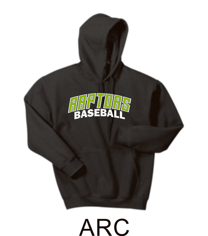 Raptors Baseball Hooded Sweatshirt- 5 designs- Matte or Glitter