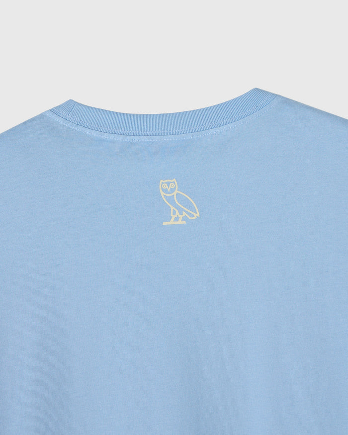 Light blue t-shirt with small cream owl outline graphic on chest.