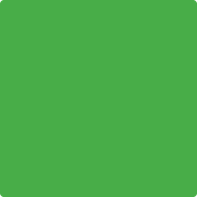 2030-20: Tropical Seaweed Green  a paint color by Benjamin Moore avaiable at Clement's Paint in Austin, TX.