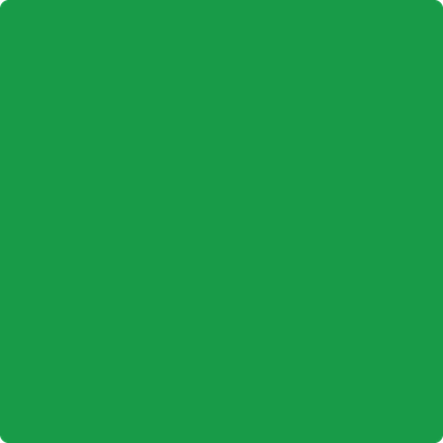 2032-10: Neon Green  a paint color by Benjamin Moore avaiable at Clement's Paint in Austin, TX.