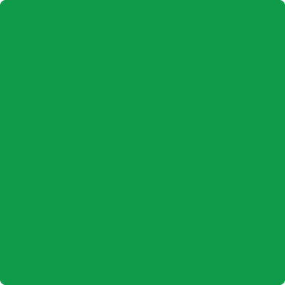 2033-20: Peppermint Leaf  a paint color by Benjamin Moore avaiable at Clement's Paint in Austin, TX.