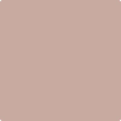 2099-50: Café Mocha  a paint color by Benjamin Moore avaiable at Clement's Paint in Austin, TX.