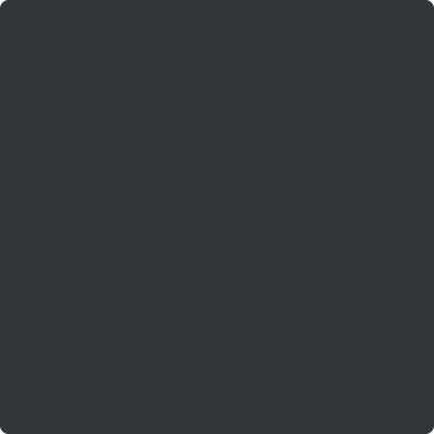 2131-10: Black Satin  a paint color by Benjamin Moore avaiable at Clement's Paint in Austin, TX.