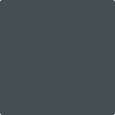 2131-30: Lead Gray  a paint color by Benjamin Moore avaiable at Clement's Paint in Austin, TX.
