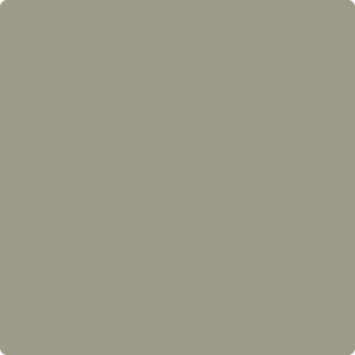 2141-40: Creekside Green  a paint color by Benjamin Moore avaiable at Clement's Paint in Austin, TX.
