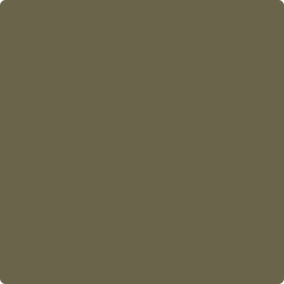 2142-20: Turtle Green  a paint color by Benjamin Moore avaiable at Clement's Paint in Austin, TX.