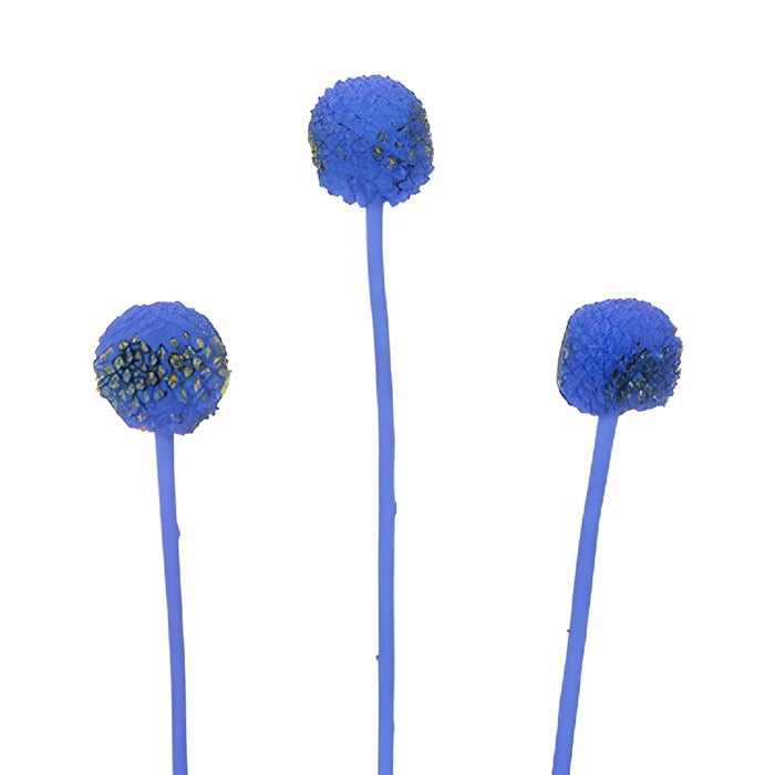 Blue Tinted Craspedia Billy Balls
