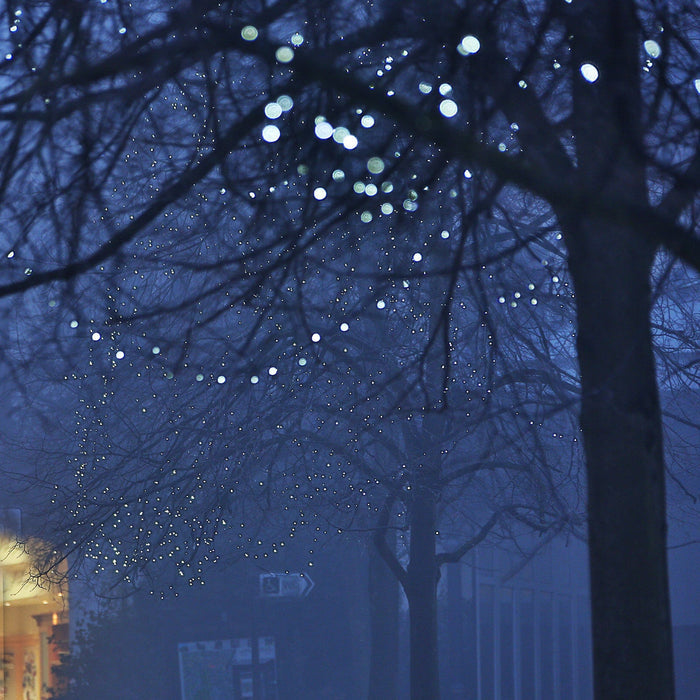 ML100WG_White-Low-Voltage-Christmas-Lights_P3.jpg