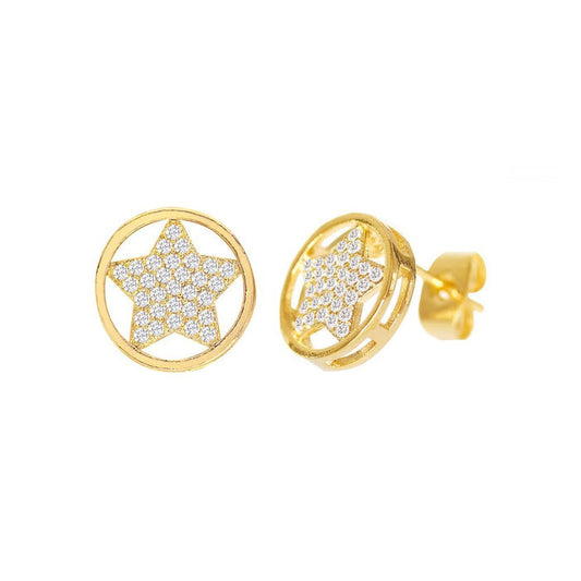 Cubic Zirconia Micro Pave Star In Circle Earring - ikatehouse