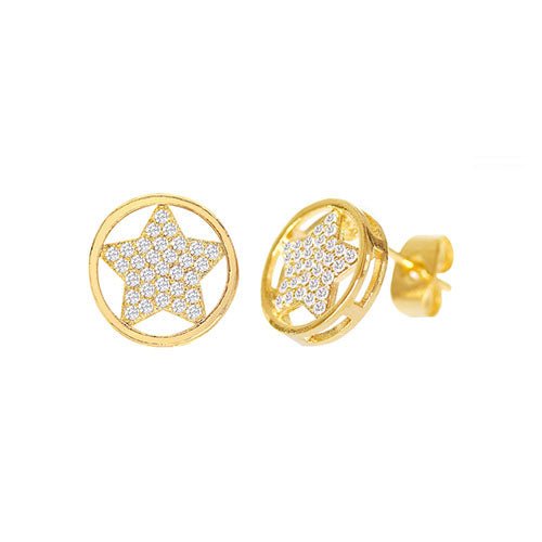 Cubic Zirconia Micro Pave Star In Circle Earring - ikatehouse