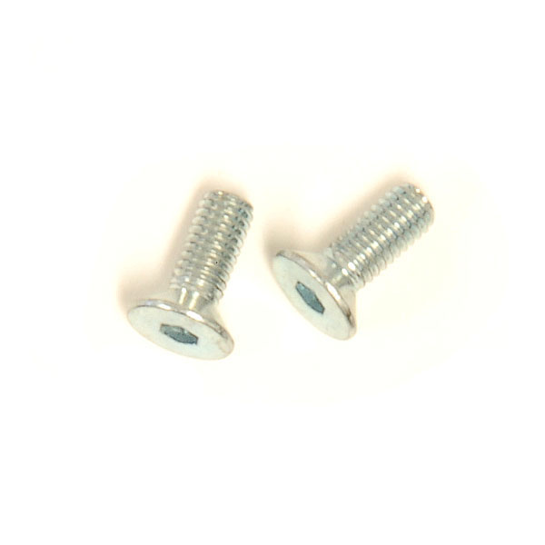 (2) M4x8 Flat Head Screws