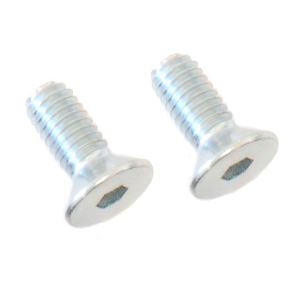 (2) M4x12 Flat Head Screws