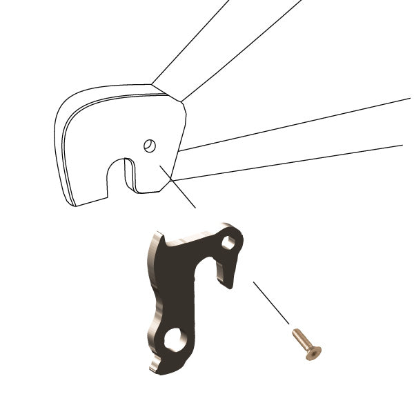 Hanger #188 attaches to the frame's rear dropout from the outside using one M5x8 screw.
