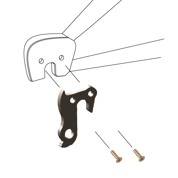 Hanger #189 attaches to the frame's rear dropout from the outside using two M5x8 screws.