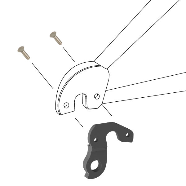 Hanger #193 attaches to the frame's rear dropout from the outside using two M4x10 screws.