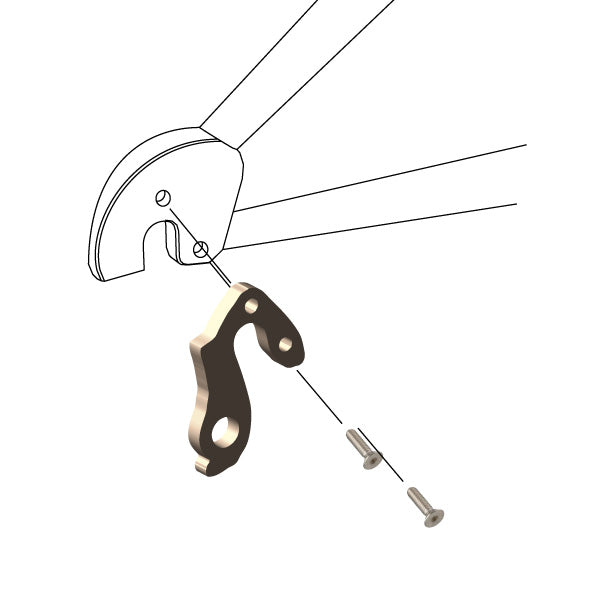 Hanger #229 attaches to the frame's rear dropout from the outside using two M4x8 screws.