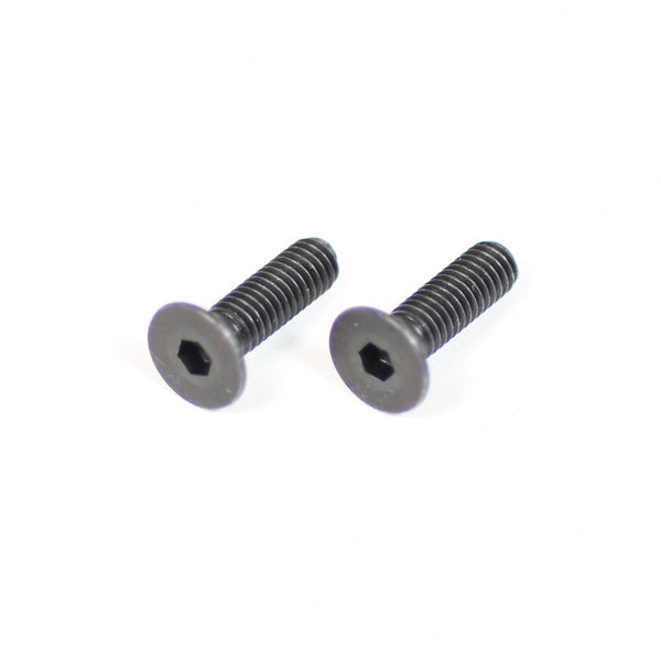 (2) M4x14 Flat head screws
