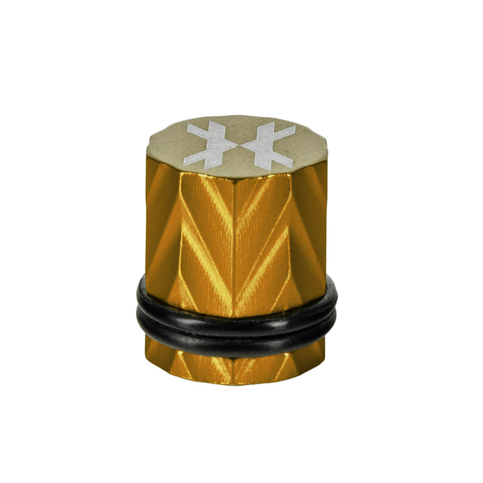 Elite Protector Kit - Fossil Thread/Fill Nipple - Gold