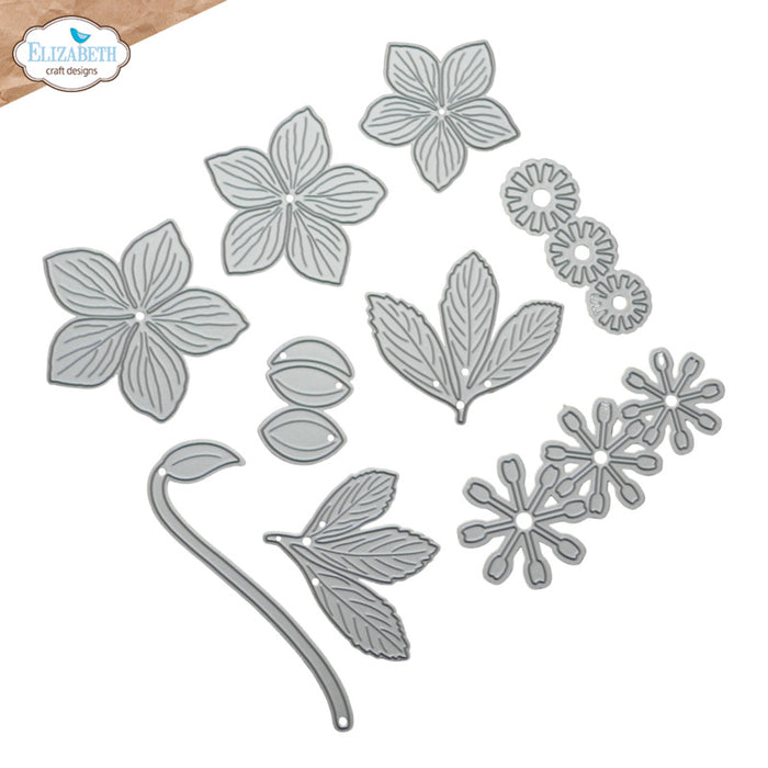 Elizabeth Craft - Metal Die - Lenten Rose. Available at Embellish Away located in Bowmanville Ontario Canada.