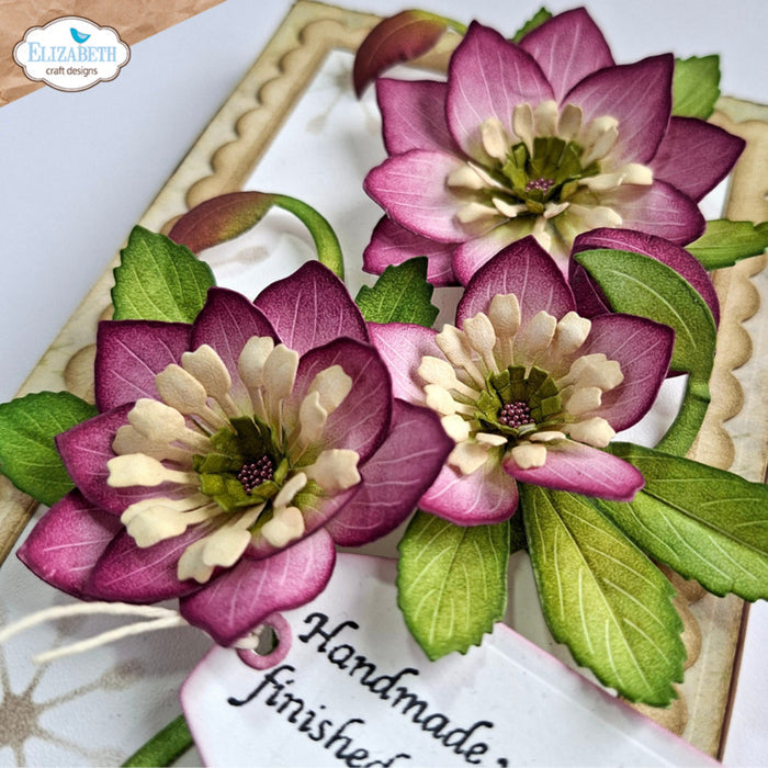 Elizabeth Craft - Metal Die - Lenten Rose. Available at Embellish Away located in Bowmanville Ontario Canada. Example by brand ambassador.