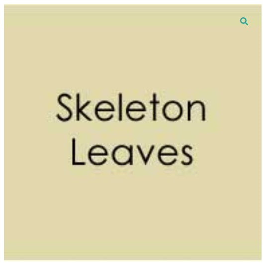 Gina K. Designs - Heavy Weight Cardstock - Skeleton Leaves. Heavy Base Weight Card Stock- perfect for card bases and layering. This pack contains 10 sheets of 8 1/2" X 11" Pure Luxury card stock.100lb. Available at Embellish Away located in Bowmanville Ontario Canada.