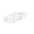 Jill Stuart Ribbon Fashion Show Eye Diamond Glimmer