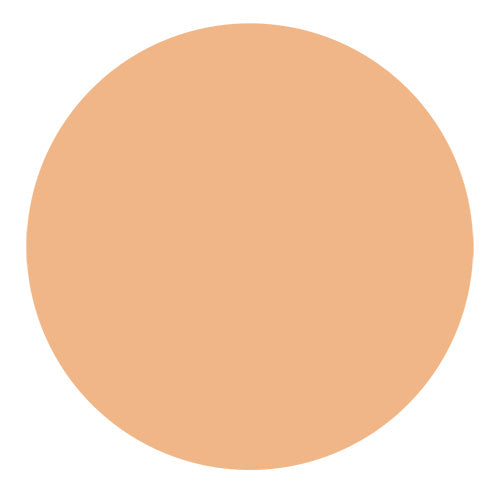 Kara Beauty GNO Serum Foundation 1oz/ 30ml