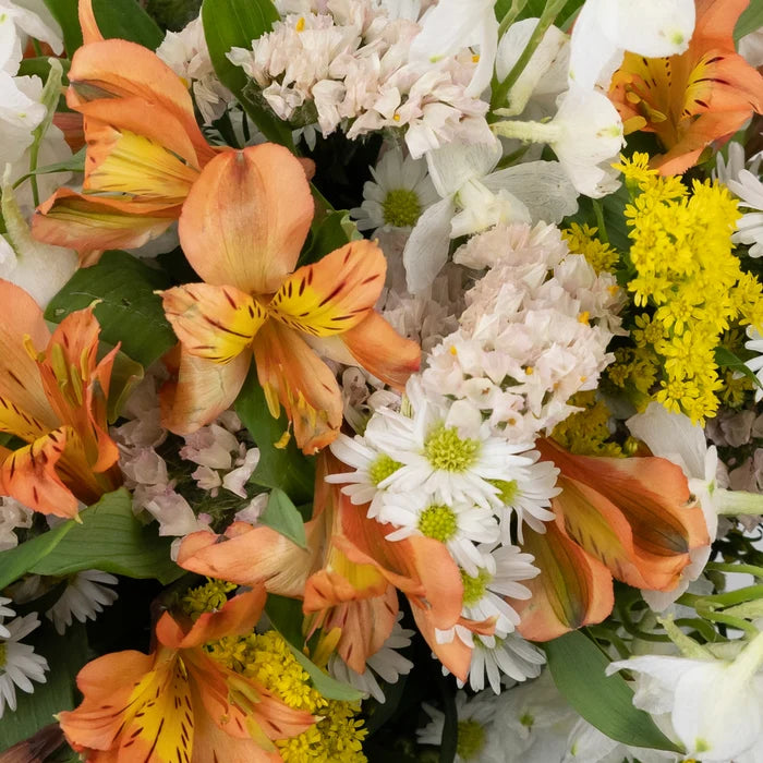 Morning Magic Diy Flower Kit Close Up - Image