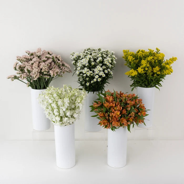 Morning Magic Diy Flower Kit Stem - Image