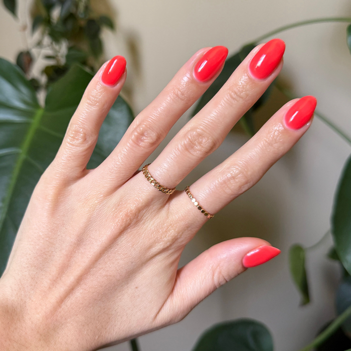 No, I Absolutely Did Not Pack Light - Gel