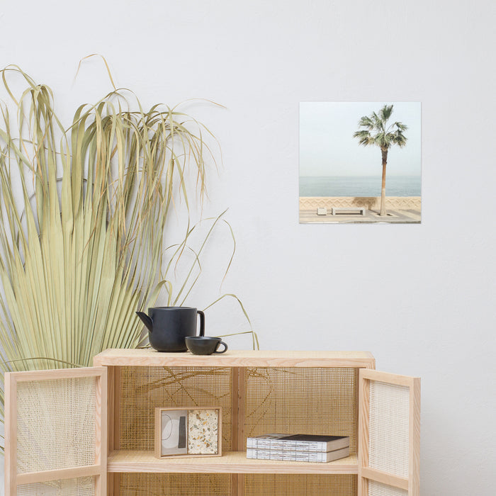 palm tree print