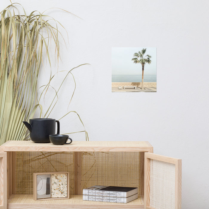 palm tree print