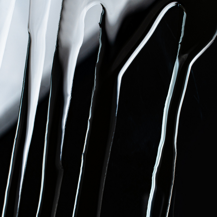Phytoactive Skin Perfecting Essence