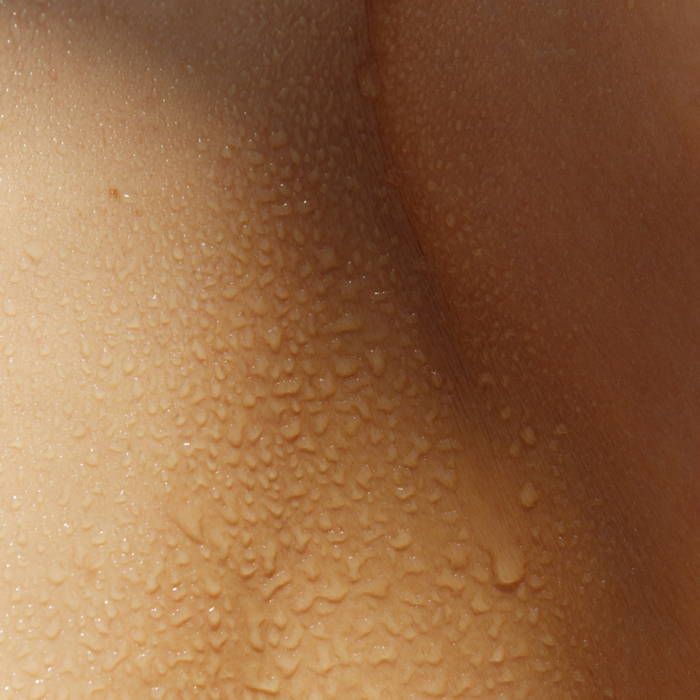 Phytoactive Skin Perfecting Essence
