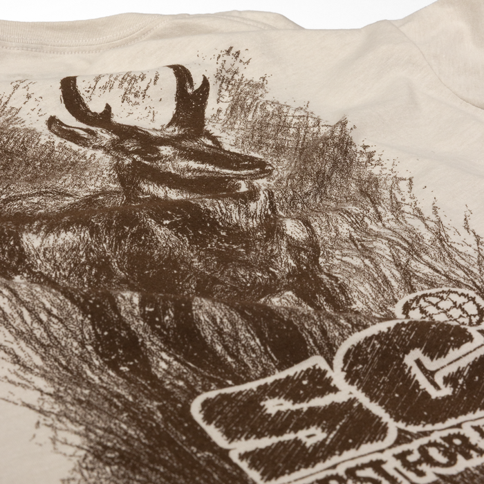 closeup of charcoal graphic of pronghorn