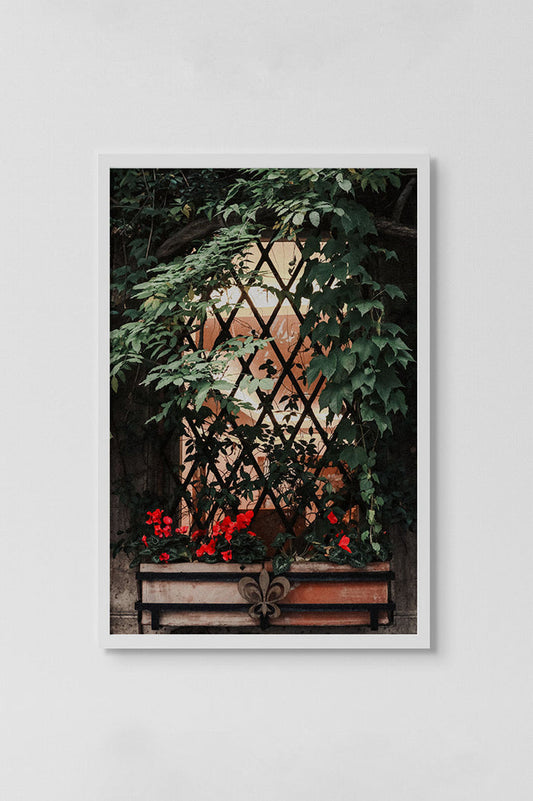 window covered in ivy