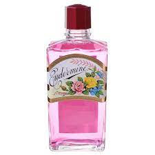 Shiseido Eudermine N