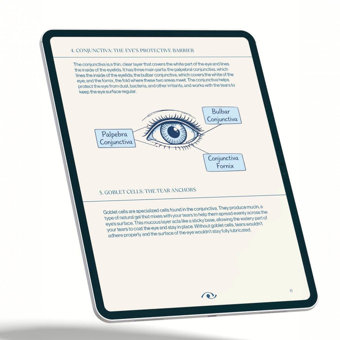 The Complete Guide to Dry Eye
