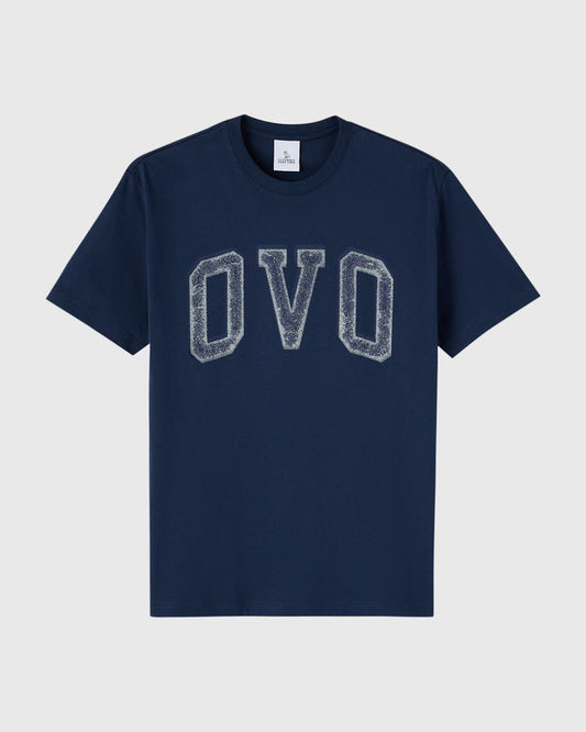 Royal navy t-shirt with gray distressed arch lettering on chest.